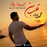 علی پایدار – قلبم